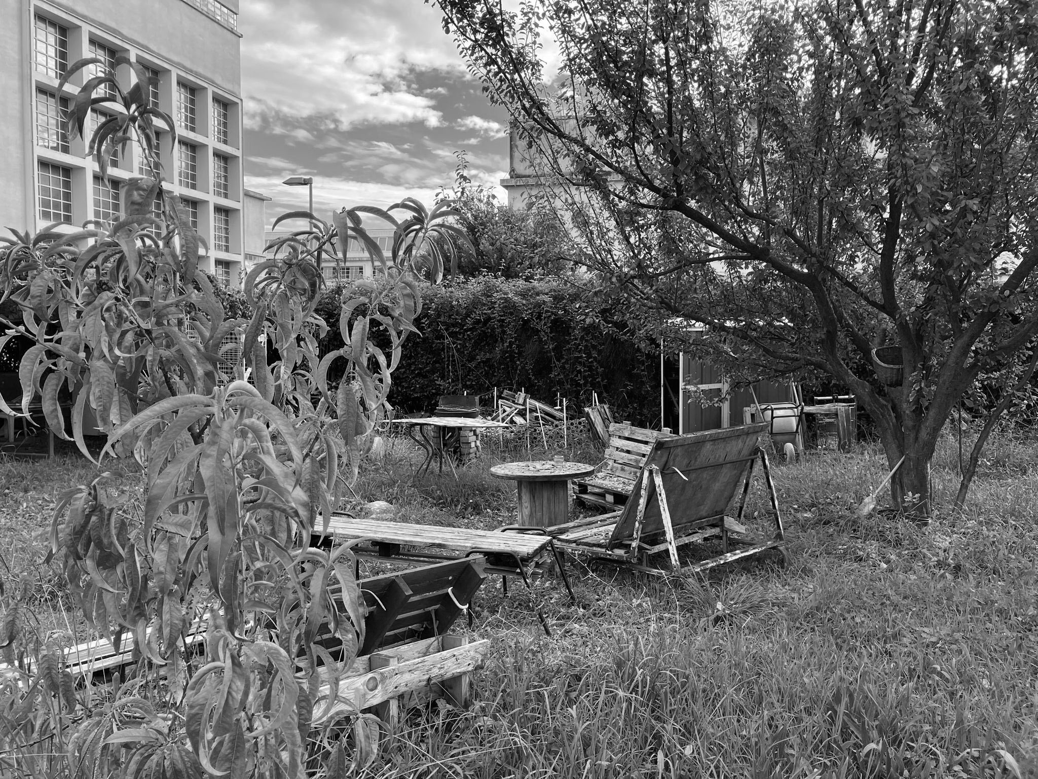 Biennale Polit(t)ico Pisa 1