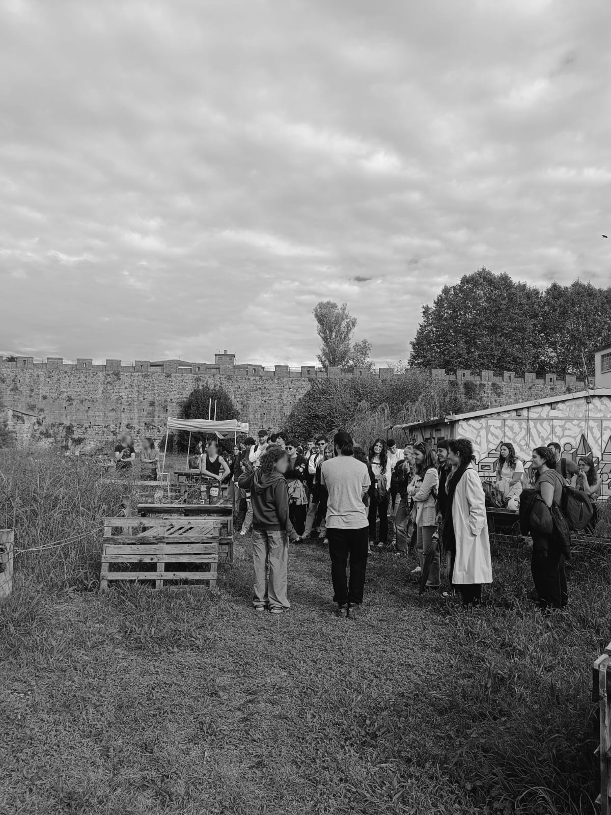 Biennale Polit(t)ico Pisa 3