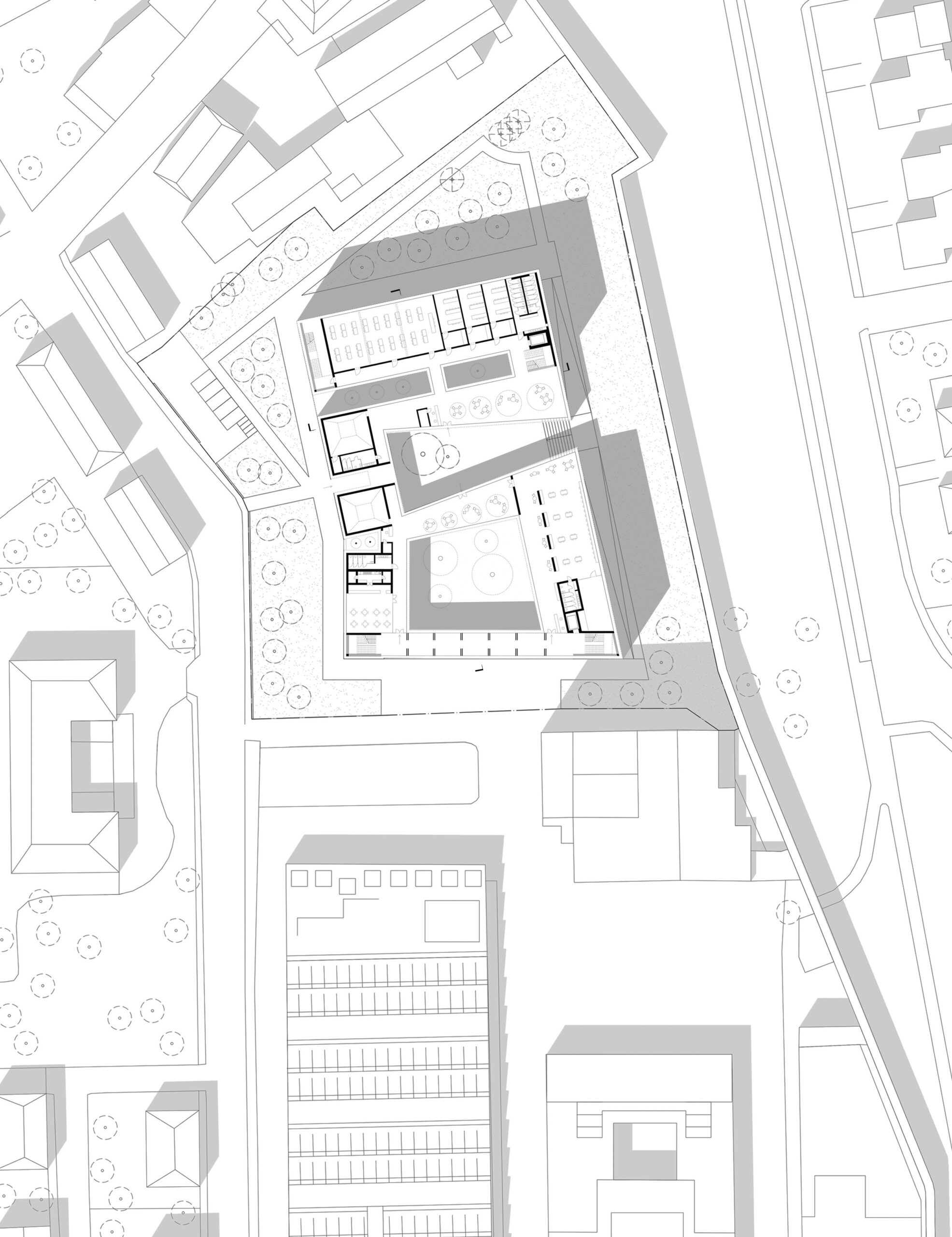 PARDINI_FALCONE – pianta